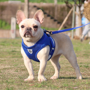 Arnés de Pecho para Mascotas, Antitirones, para Viajes al Aire Libre, Reflectante, de Nailon Ajustable, con Liberación Rápida, para Perros Pequeños y Medianos - Product Image 5