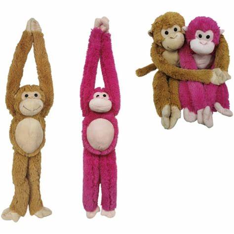 monkey teddy smyths