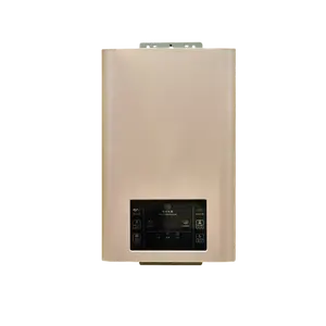 Pipeline Natural Gas Water Heater 12L Constant Temperature for Household Hot Water