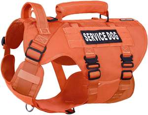 Free Sample <b>Dog</b> Pet Clothing Autumn and Winter Reflective <b>Dog</b> Hardshell Jacket Pp Cotton Filling <b>Dog</b> Padded Jacket - Product Image 3