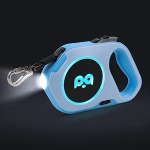 Wiederauf ladbare LED-Taschenlampe Hunde leine 16 ft Hochleistungs-Nylon band Benutzer definiertes Logo 2024 Neues Design Leuchten Haustier Hunde leine Blei