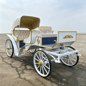 Elegante Carruaje Real de Princesa para Bodas y Eventos, Carroza Eléctrica para Turismo, Accesorio para Fotos, Desfiles al Aire Libre, Carroza Tirada por Caballos - Product Image 6