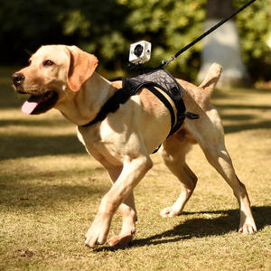 <span class=keywords><strong>Harness</strong></span> Anjing Taktis SinSky Hiking No Pull untuk Mendaki di Luar Ruangan, Sabuk Kerah Anjing untuk Olahraga, <span class=keywords><strong>Harness</strong></span> Anjing dengan Dudukan Kamera - Product Image 5