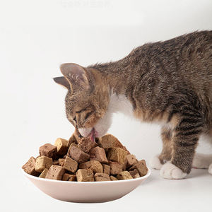 Collations lyophilisées pour animaux <span class=keywords><strong>de</strong></span> compagnie Canard au <span class=keywords><strong>poulet</strong></span> naturel pur Os et <span class=keywords><strong>chair</strong></span> crus Collations délicieuses et nutritives pour chats et chiens - Product Image 5