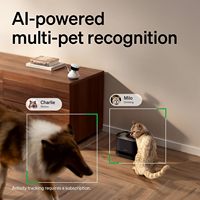 Caméra pour chien de compagnie, intérieur, avec application téléphonique, caméra pour chat 360° °   Caméra pour chien 1080P avec vision nocturne, audio bidirectionnel, caméra domestique WiFi