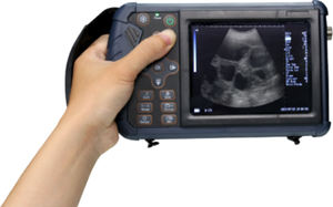 Sistema de Ultrasonido Veterinario Digital para el Control de la Gestación y Salud de Mascotas - Product Image 2