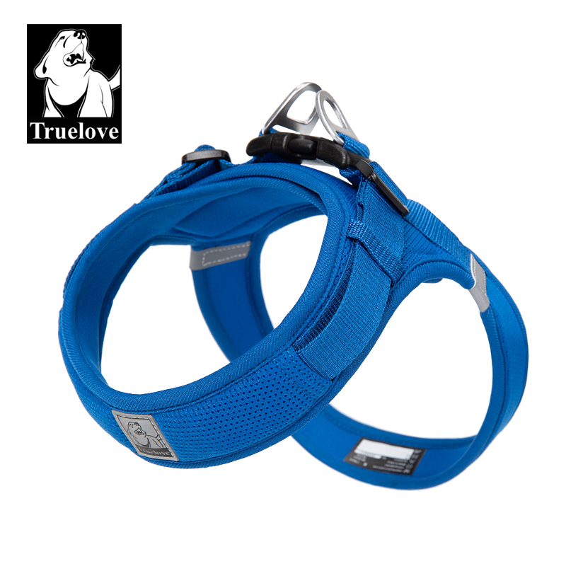 Bleu Royal