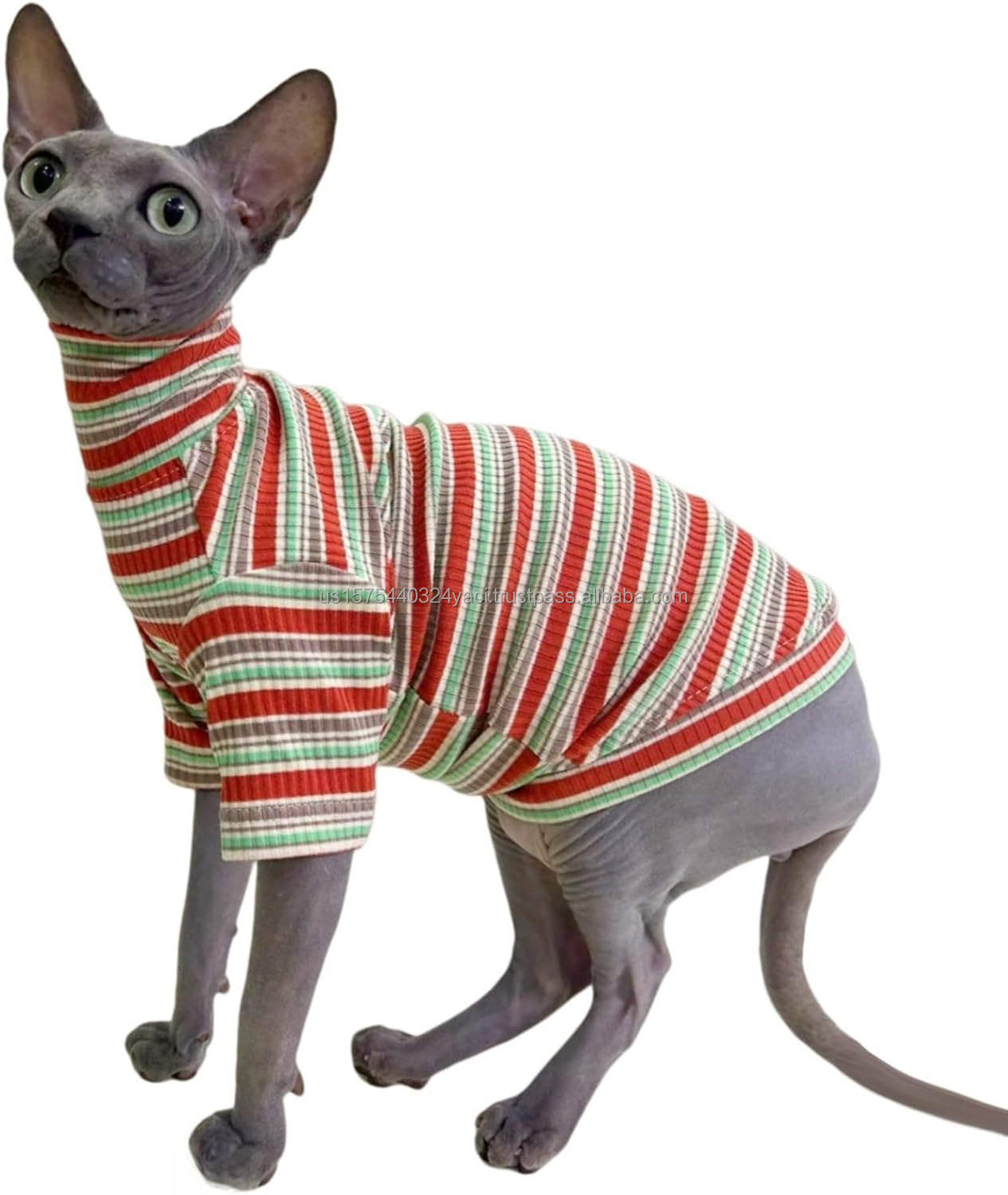 ฤดูใบไม้ร่วง