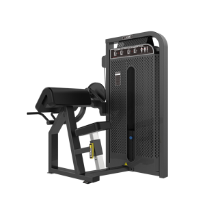 Équipement de musculation commercial LDDS-71, machine d'entraînement de la force 2 en 1 <span class=keywords><strong>pour</strong></span> les biceps et les <span class=keywords><strong>triceps</strong></span>, <span class=keywords><strong>appareil</strong></span> de fitness multifonctionnel - Product Image 2