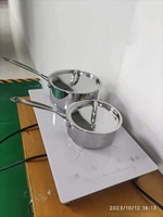 Cuisinière à induction invisible