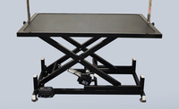 Table de toilettage électrique pliable réglable en hauteur Instrument vétérinaire protégé de sécurité pour chiens de différentes tailles