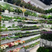 Plante artificielle en gros sur mesure, fausse fougère, feuillage réaliste, verdure pour décoration murale commerciale et résidentielle, accessoires de paysagisme, Planta