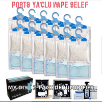 Lot de 12 sacs déshumidificateurs suspendus 500 ml, absorbeur d'humidité pour placard, déshumidificateur déshydratant, piège à condensation, anti-odeur