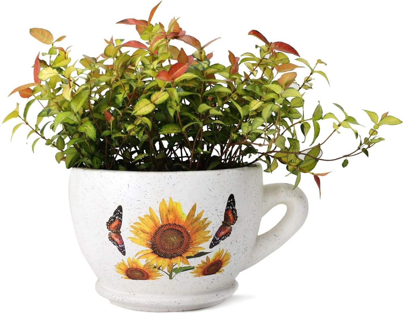 Make Succulent Planters out of Chipped Teacups, image size:1360x1059