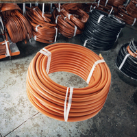Kabel Penyimpanan Energi WDZ-YJY N2XH Tembaga Murni dengan Jaket XLPE XLPO 1kV 4 Inti 16mm2 25mm2 35mm2 50mm2 untuk Distribusi BESS