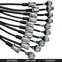 Conector Circular Macho de 9 Pines WS16 para Aviación, Ensamblaje de Cable IP68 Impermeable, Carcasa Metálica con Bloqueo de Rosca, Chapado en Oro, Industrial