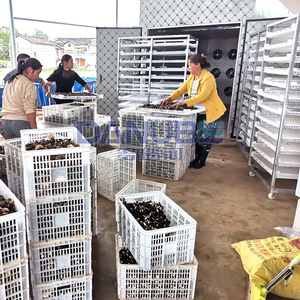 Hornos de Secado de Hojas de Tabaco con Certificación de Calidad, Secadores de Hojas de Tabaco, Equipos de Secado de Hojas de Tabaco - Product Image 5