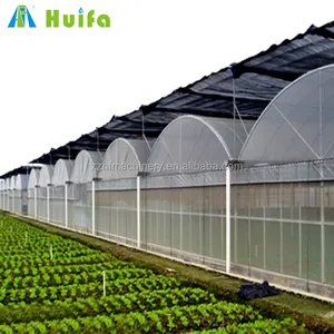 Invernadero de policarbonato, multispan, resistente al viento, para agricultura