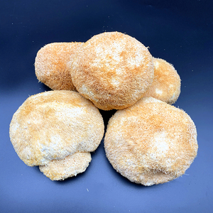 Tête de singe <span class=keywords><strong>champignon</strong></span> séché Lions crinière <span class=keywords><strong>champignon</strong></span> & Hericium Erinaceus <span class=keywords><strong>champignon</strong></span> & livraison directe - Product Image 2