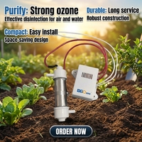Générateur d'ozone 500mg pour purifier l'air et l'eau, tube d'ozone AC110V AC220V DC12V, ozonateur pour spa et aquarium KHT-500MGQA1/A2/D12V