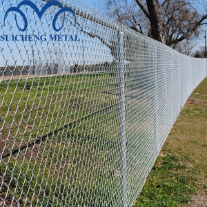 2024 năm sản phẩm mới Quảng Châu nhà máy mạ kẽm chuỗi dây fance/CHAINLINK an ninh hàng rào - Product Image 2