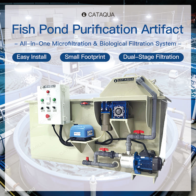 Plug Play Installation Koi Pond Integrated RAS System with Drum Filter ...