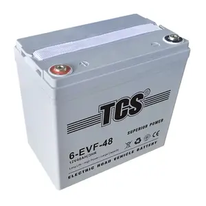 Tcs 12V 48ah Agm Energy Storage Lead Carbon Battery para Veículo Elétrico Agrícola