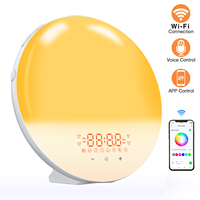 Sonnenaufgang-Wecker mit Lichtfunktion, WLAN, Natürlichen Klängen, UKW-Radio, USB-Betrieb, Kunststoffgehäuse, 1 Jahr Garantie, OEM ODM Hersteller