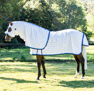 High Performance Summer Horse Sheets Offering Lightweight Breathability Durability And Secure Fastenings - Product Image 2