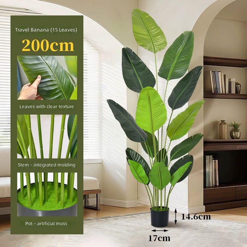 200cm banana-loose anemone-12 leaves-black basin