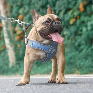 Coleira refletiva oxford sem puxar caminhada, bom preço, 3m, coleira personalizada para cães