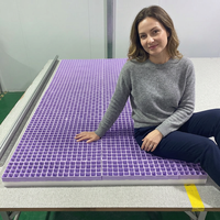 Matelas en TPE sur mesure OEM, fabricant de matelas en mousse à haute résilience, vente en gros directe d'usine
