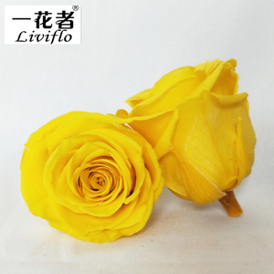 ดอกกุหลาบจริงอบแห้งขนาด 5-6 ซม. ยี่ห้อ Liviflo ขายส่ง บรรจุกล่อง สำหรับตกแต่งวันวาเลนไทน์และงานแต่งงาน - Product Image 4