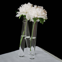 Ensemble de vases en verre à motif floral croisé, vase en tube de verre, arrangement hydroponique, vase en verre pour table