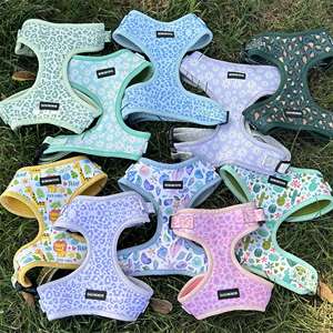 Fabricante Accesorios para mascotas Fábrica Diseño de alta calidad Logo Neopreno Ployster Pet Cat Correa Collar No Pull <span class=keywords><strong>Dog</strong></span> Arnés Set - Product Image 3