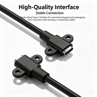 Kabel Pengisi Daya 2-Core Tipe-C Female, Konektor Tunggal USB Female Horizontal Dengan Lubang Sekrup Pemasangan, Kabel Data 4-Core