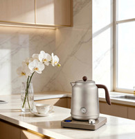 Bouilloire électrique de 1,7 litre pour faire bouillir l'eau, contrôle numérique, acier inoxydable, 1,7 L