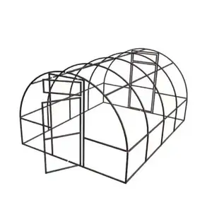 Turnkey Projects Agricultural Tomato Hydroponics invernadero Single Dome Greenhouse