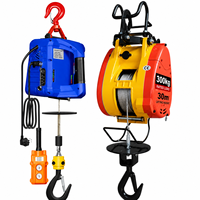 Mini treuil de levage portable puissant King, capacité 300 kg, câble 30 m, télécommande sans fil, petit palan suspendu pour la rénovation d'entrepôts