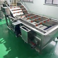 Machine à laver les fruits et légumes Dates de séchage Ligne de production par piqûres Machine à laver les bulles Prix du lave-fruits automatique