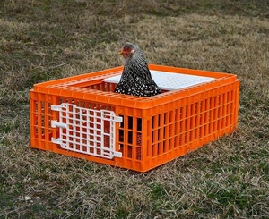 Kandang ayam transportasi 3 pintu kandang kandang merpati ayam puyuh - Product Image 3