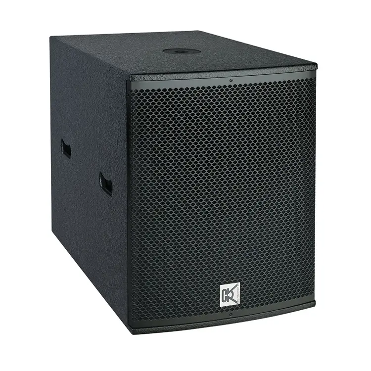 Actieve Subwoofer Box 15 18 21 Inch Bass Bin Speaker