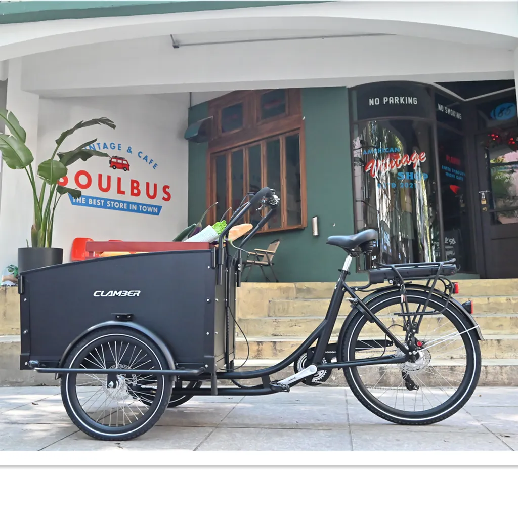 Stock de l'entrepôt européen vélo cargo électrique à 3 roues 250W, remorque de mobilité, vélo néerlandais, offre spéciale