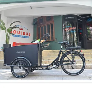 Europe Warehouse Stock Electric 3 Wheel Cargo Bike 250W Mobility Trailer Bicycle Hot Selling Dutch Bike