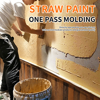 Peinture texturée effet paille pour villa élégante, finition texturée, dissimule les imperfections, revêtement mural classique