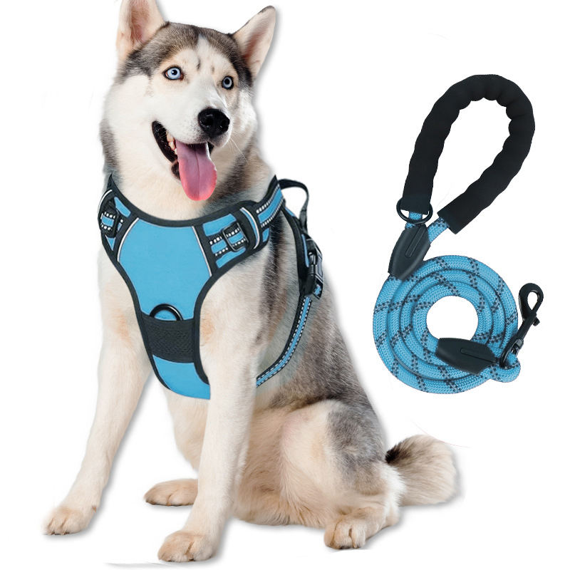 Shop High-Quality Chain Dog Harnesses for All Needs