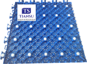 <span class=keywords><strong>Terrain</strong></span> <span class=keywords><strong>de</strong></span> <span class=keywords><strong>basket</strong></span>-ball extérieur en polypropylène <span class=keywords><strong>3x3</strong></span>, tapis <span class=keywords><strong>de</strong></span> sol sportif <span class=keywords><strong>de</strong></span> haute qualité - Product Image 4