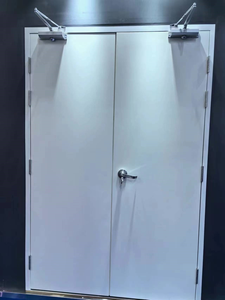 Puerta cortafuego de acero CHANGYI y puertas cortafuegos de metal a la venta puertas compuestas clasificadas contra incendios comerciales de color negro - Product Image 3