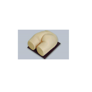 <strong>Real</strong> Feel Silicone Buttock <strong>Injection</strong> Model Medical Teaching Tool for Anatomy Learning Image Appearance is Authentic - Product Image 5