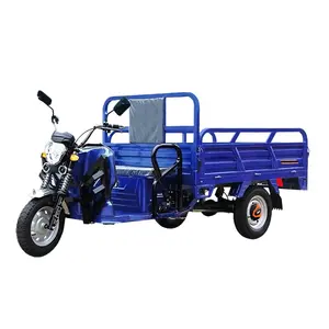 CE وافق 60V دراجة كهربائية ثلاثية العجلات مفتوحة 3 عجلة الدراجة 1200w Pedicab الكبار البضائع دراجة ثلاثية العجلات كهربائية